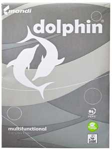 Carta Fotocopie A4 Dolphin Everyday 80gr FF500