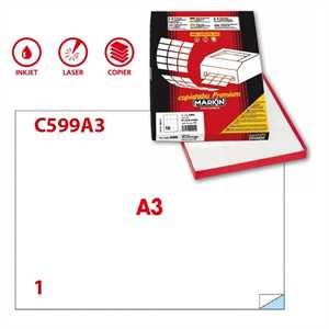 Et.Copy Laser A3 ff100 C599